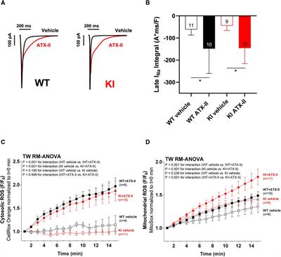 The inotropic and arrhythmogenic effects of acutely increased late INa are associated with elevated ROS but not oxidation of PKARIα